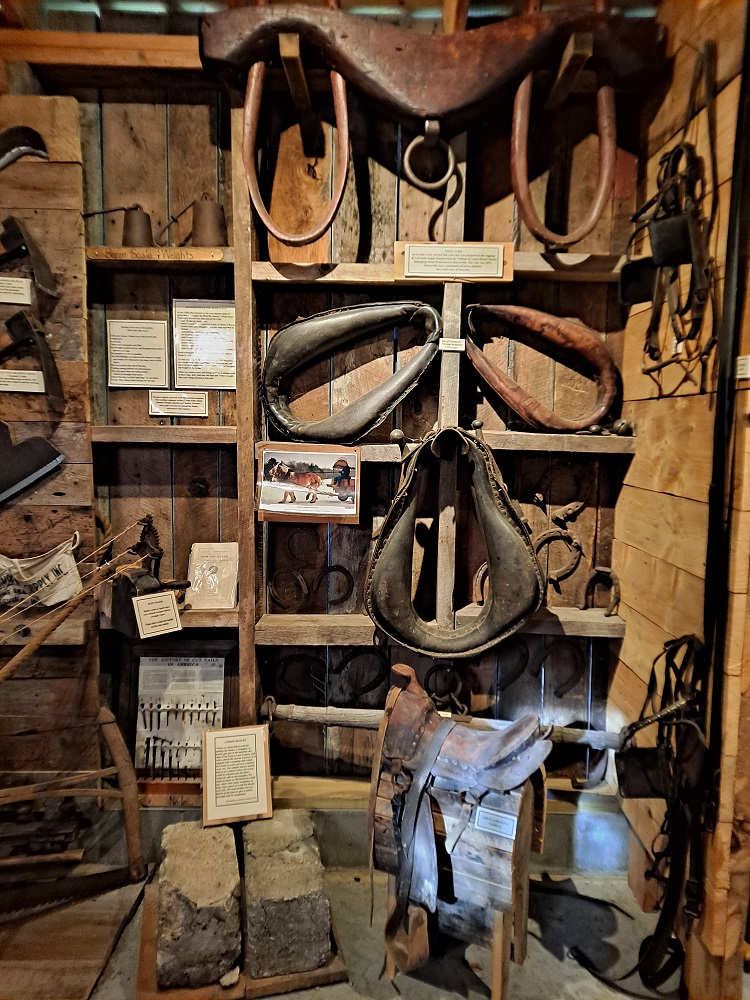 Horse Tack Draft Animal Exhibit