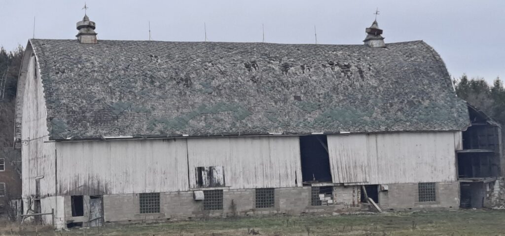 Distressed White Barn
